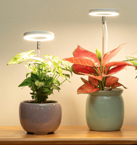 Grow Light for Indoor Plants
