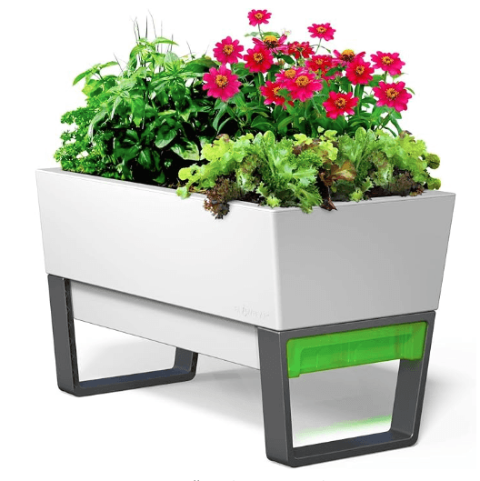 Self-Watering Planter